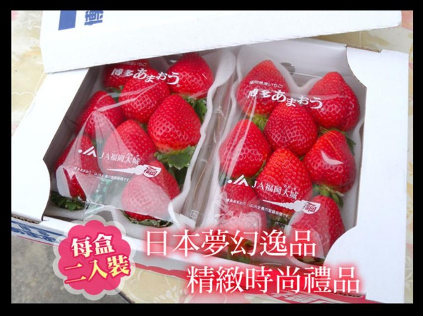 福岡草莓