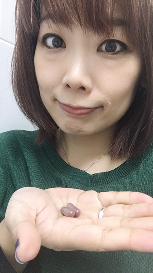 試用