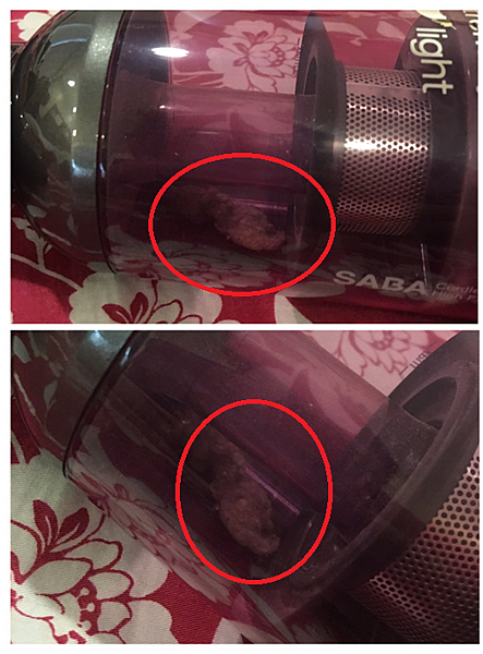 女人知己試用大隊,德國SABA極輕量數位無線吸塵器,德國SABA,德國品牌,德國科技,極輕量,無線吸塵器,自走科技,不纏毛