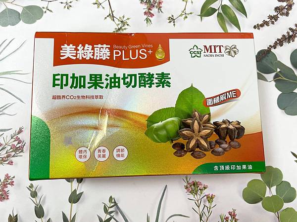 210881934_334238508416863_9078198692999736890_n.jpg 試用