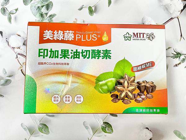 211523720_1211023592654809_8711936846032026360_n.jpg 試用