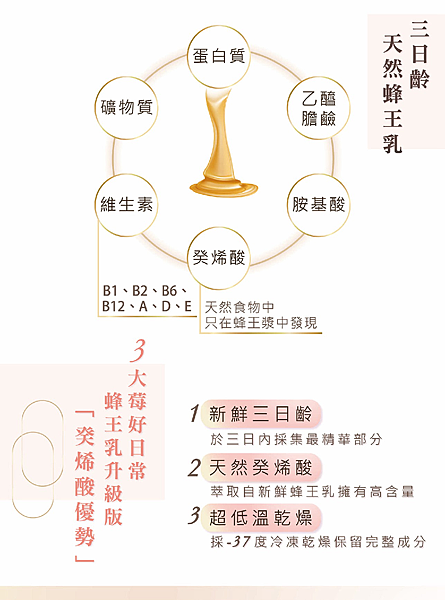 13 試用
