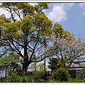 柳川渡船01.jpg