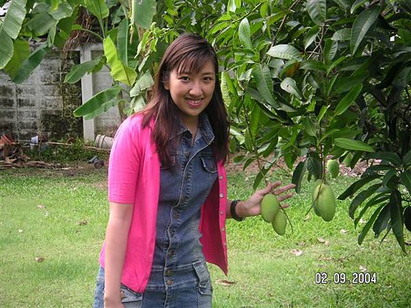 Ruby & green mangoes in the garden