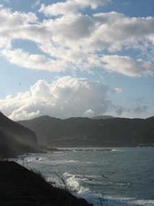 電燈泡 電燈泡