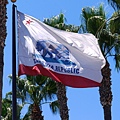 好像是加州的旗子，牠是灰熊！