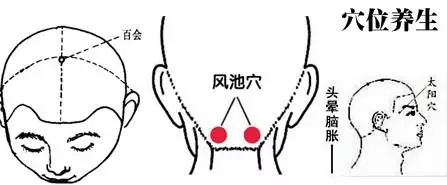 以拇指、中指掐揉「風府」兩側胸鎖乳突肌與風池穴.png 以拇指、中指掐揉「風府」兩側胸鎖乳突肌與風池穴.png