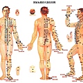身體穴位圖 - 台南按摩（腳底按摩）推薦、台中按摩推薦、新竹按摩推薦、嘉義按摩推薦