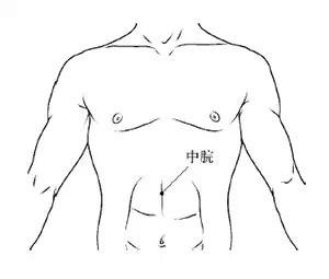 中脘.png 中脘.png