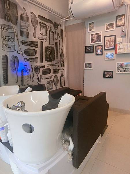 相片 21-8-2018 17 20 09 相片 21-8-2018 17 20 09