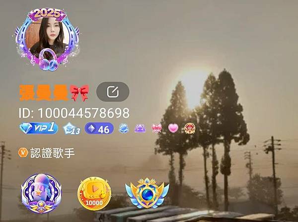 【紫微斗數實戰篇】EP20 無心插柳 柳成蔭，前世歌妓今生