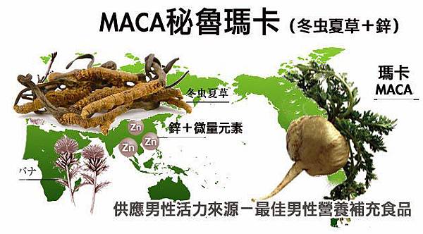 maca馬卡(冬蟲夏草+鋅) maca馬卡(冬蟲夏草+鋅)