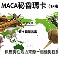 馬卡maca