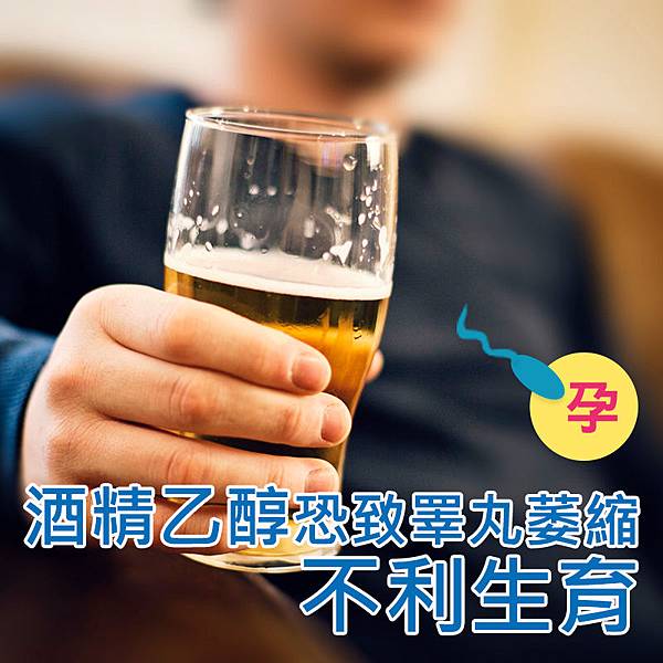喝酒對精子真的很傷~酒精不力生育 喝酒對精子真的很傷~酒精不力生育