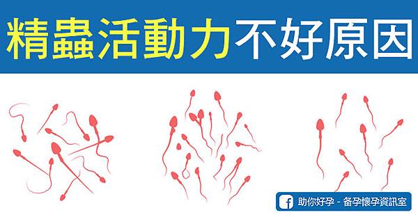 精蟲活動力不好原因.jpg 精蟲活動力不好原因.jpg