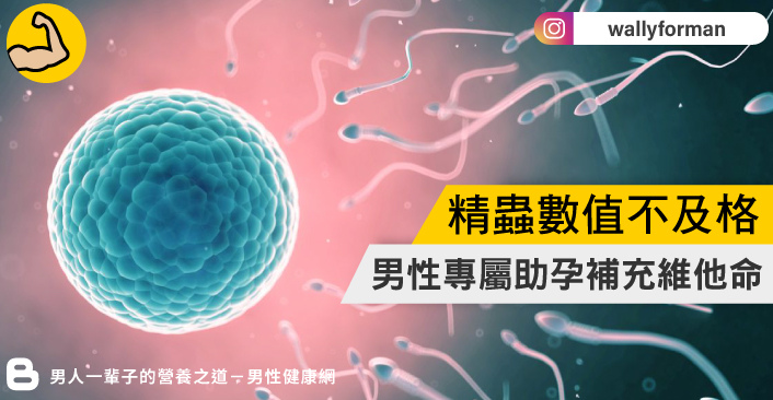 精蟲數值不及格 男性專屬助孕維他命 準備懷孕 精蟲數值不及格 男性專屬助孕維他命 準備懷孕