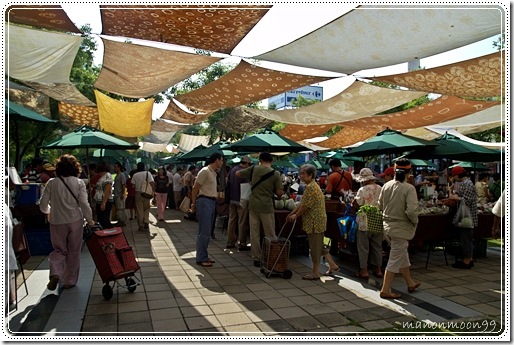 DSC_6639 DSC_6639