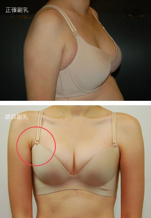 副乳的定義99 女性都錯誤 Ivymaison 愉悅 美麗 痞客邦 副乳的定義99 女性都錯誤 Ivymaison 愉悅 美麗 痞客邦