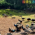 0F910AEB-7FCE-4BCF-B80E-189E9D657938_1_105_c.jpeg