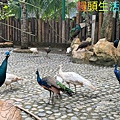 1D2B18FC-C13B-4E4F-8E50-4F41AA283A50_1_105_c.jpeg