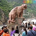 batch_7D9DD324-3FBE-487D-8875-C13DD646B1B6.jpeg