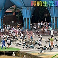 batch_BFB1573D-F6D5-494C-87D5-F9EE4058E324_1_105_c.jpeg