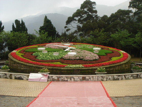 就是为了这个美丽的大花钟 前一天 虽然只睡了两个小时 还是想要来一