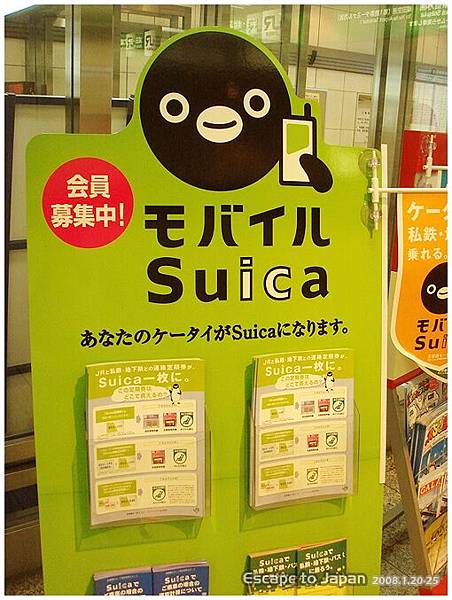 Suica 企鵝