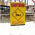 Caution!! 古代生物出沒