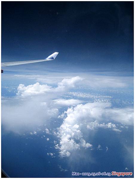 來的時候都沒機會好好看看窗外