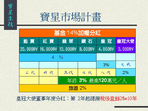 寶星市場行銷計畫