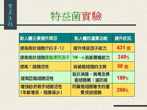 寶星市場行銷計畫