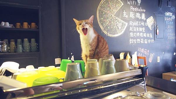 P1010026.JPG P1010026.JPG