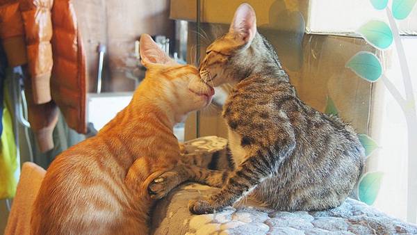 PB280120.JPG PB280120.JPG