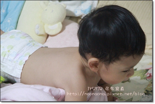 1Y5M3W 尿布照-07