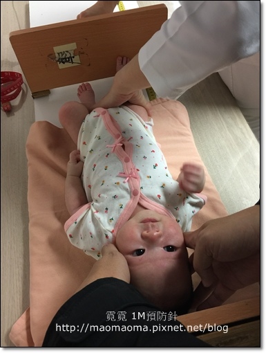 1m預防針-01.JPG 1m預防針-01.JPG