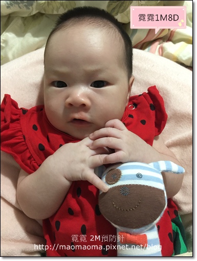 2M預防針01.JPG 2M預防針01.JPG