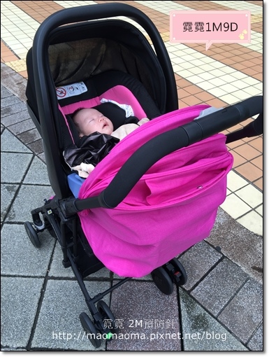 2M預防針03.JPG 2M預防針03.JPG