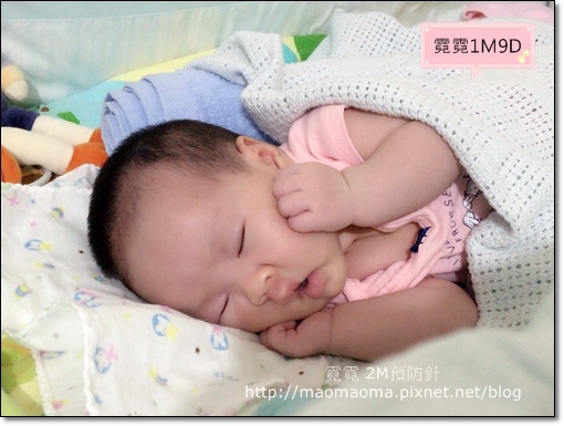 2M預防針02.JPG 2M預防針02.JPG