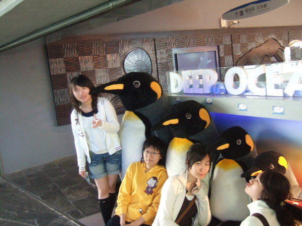 DSCF6783.JPG