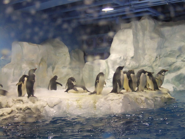 DSCF6801.JPG