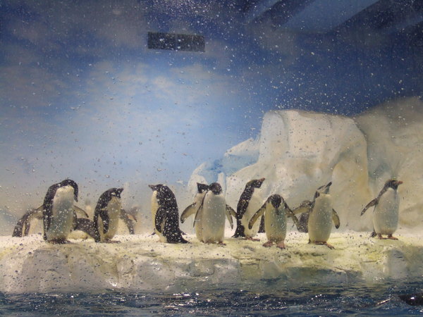 DSCF6809.JPG