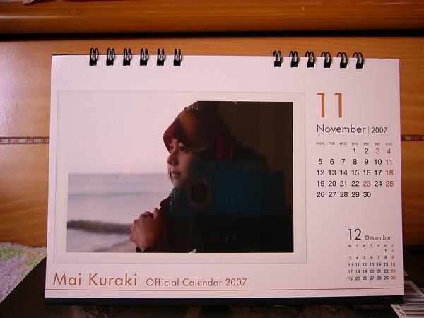 Mai_Calendar_11.jpg