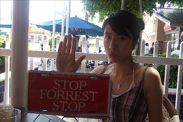 至於 Stop Forest Stop