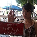 至於 Stop Forest Stop