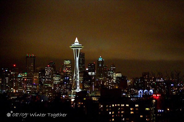 西雅圖的夜景