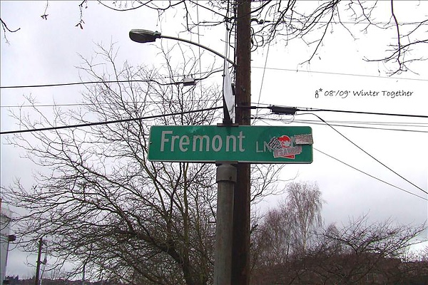 Fremont 有著許多公共裝置藝術的區域