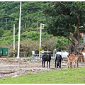 2013_0503to0506_LanYu035