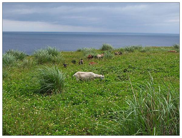 2013_0503to0506_LanYu048