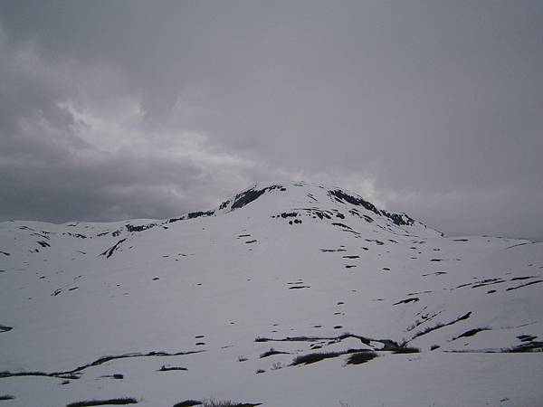 P5290947.JPG